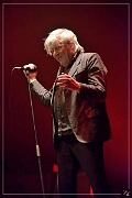 NIK_18516-in-v2 Arno 09-03-2016 (Zz) (p)